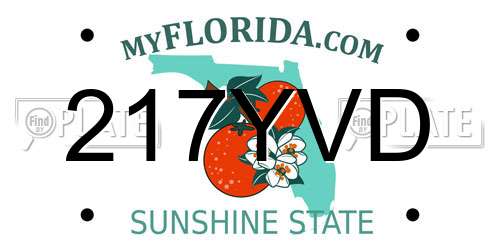 217YVD Florida License Plate