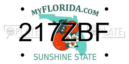 217ZBF Florida License Plate