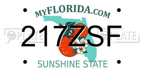 217ZSF Florida License Plate