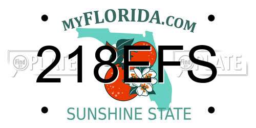 218EFS Florida License Plate