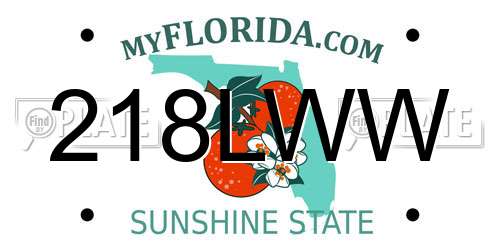 218LWW Florida License Plate