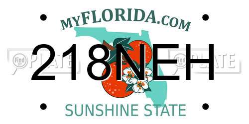 218NEH Florida License Plate