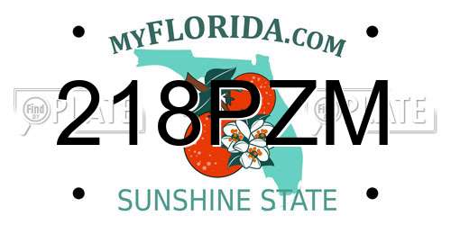 218PZM Florida License Plate