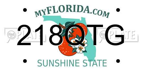 218QTG Florida License Plate
