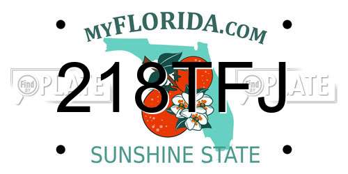 218TFJ Florida License Plate