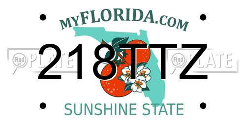 218TTZ Florida License Plate