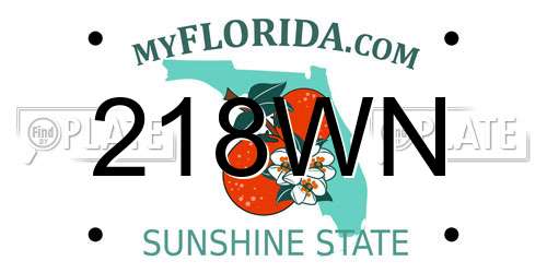 218WN Florida License Plate