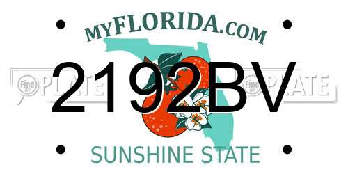 2192BV Florida License Plate