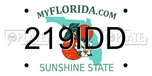 219IDD Florida License Plate