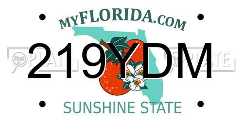 219YDM Florida License Plate