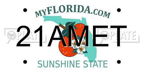 21AMET Florida License Plate