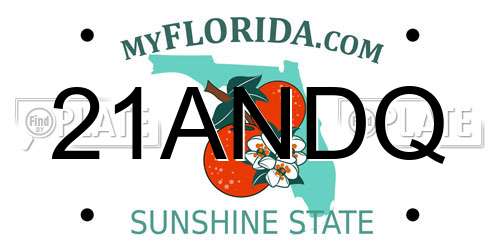 21ANDQ Florida License Plate
