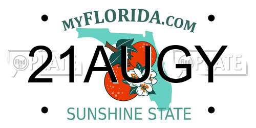 21AUGY Florida License Plate