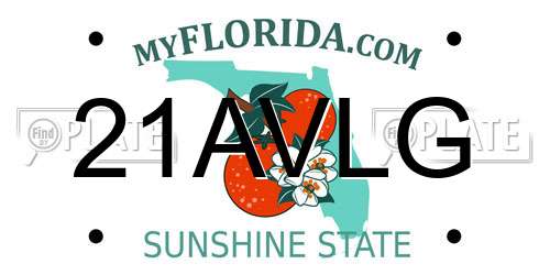 21AVLG Florida License Plate