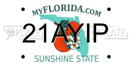 21AYIP Florida License Plate