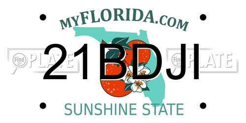 21BDJI Florida License Plate