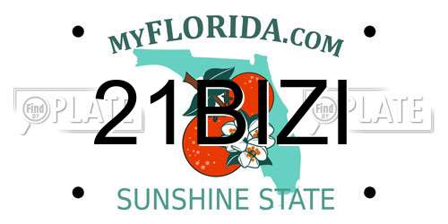 21BIZI Florida License Plate