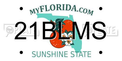 21BLMS Florida License Plate