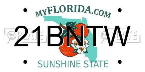 21BNTW Florida License Plate