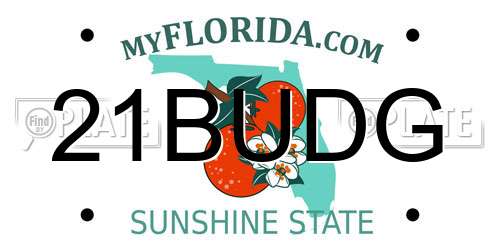 21BUDG Florida License Plate