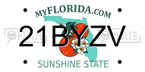 21BYZV Florida License Plate
