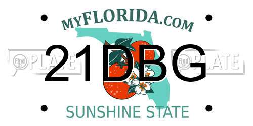 21DBG Florida License Plate