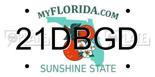 21DBGD Florida License Plate