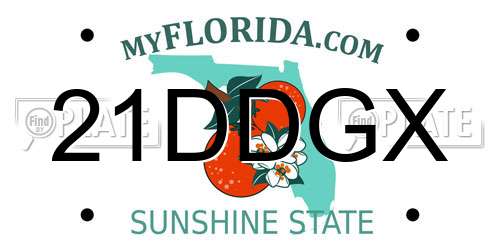 21DDGX Florida License Plate