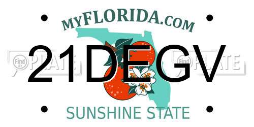 21DEGV Florida License Plate