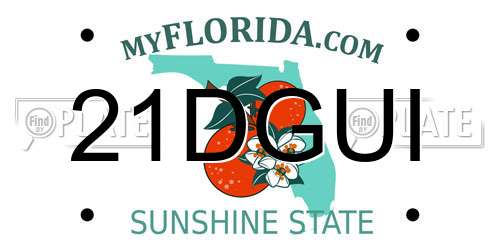 21DGUI Florida License Plate