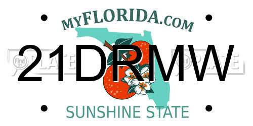 21DRMW Florida License Plate