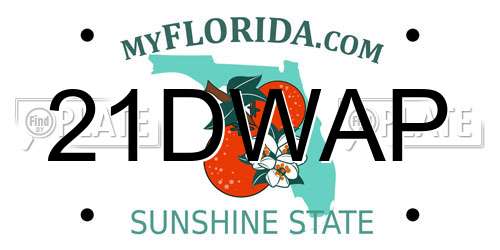 21DWAP Florida License Plate