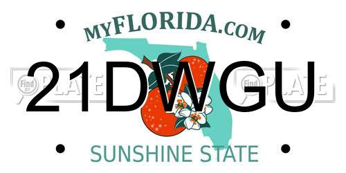21DWGU Florida License Plate