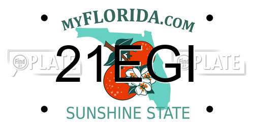 21EGI Florida License Plate
