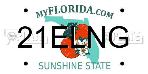 21ELNG Florida License Plate