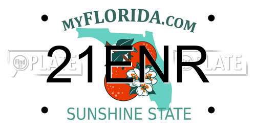 21ENR Florida License Plate