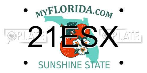 21ESX Florida License Plate