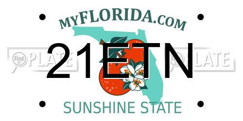 21ETN Florida License Plate