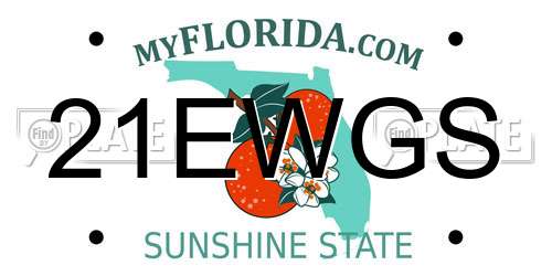21EWGS Florida License Plate