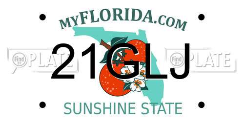 21GLJ Florida License Plate