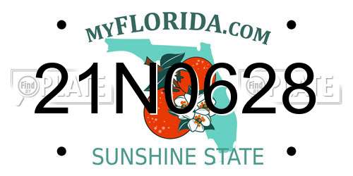 21N0628 Florida License Plate