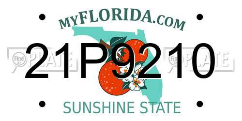 21P9210 Florida License Plate