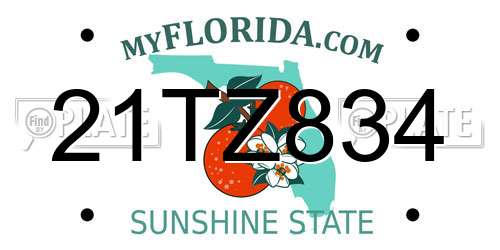 21TZ834 Florida License Plate