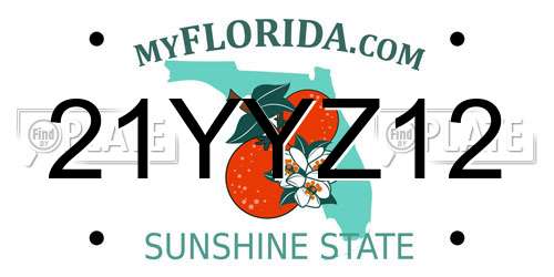 21YYZ12 Florida License Plate