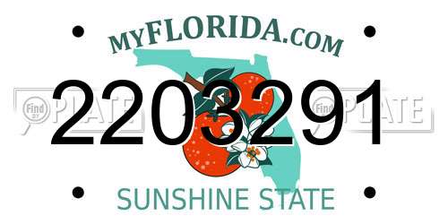 2203291 Florida License Plate