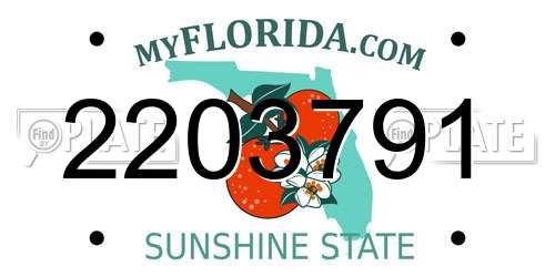 2203791 Florida License Plate