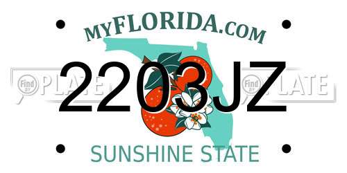 2203JZ Florida License Plate