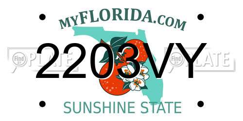 2203VY Florida License Plate