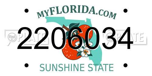 2206034 Florida License Plate