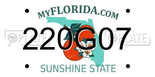 220G07 Florida License Plate